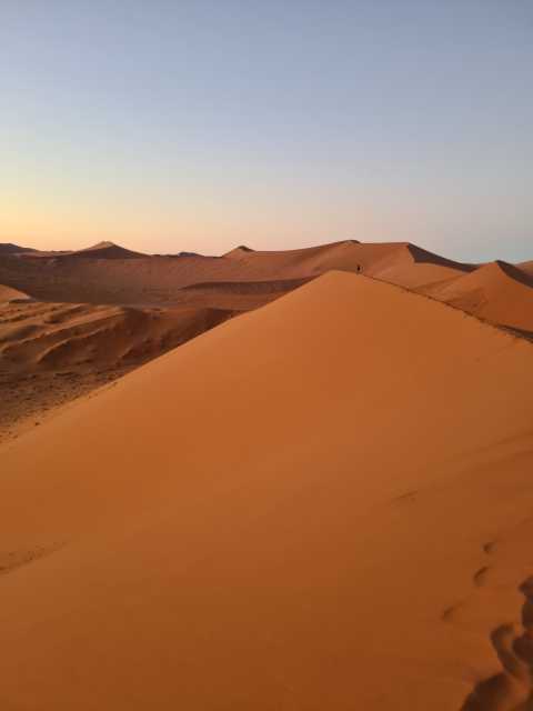 20230426_070754.jpg
