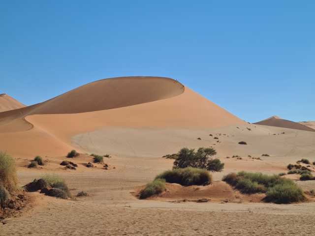 20230426_104718.jpg