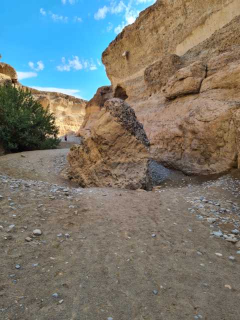 20230426_153833.jpg