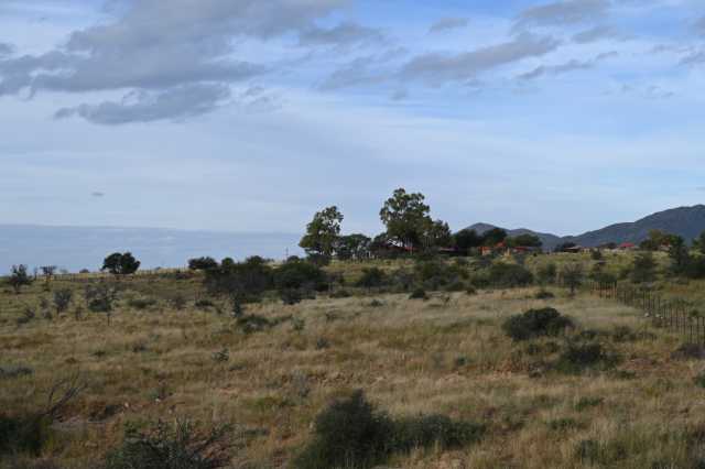 DSC_1912.JPG