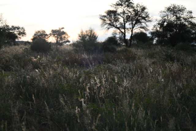 DSC_1943.JPG