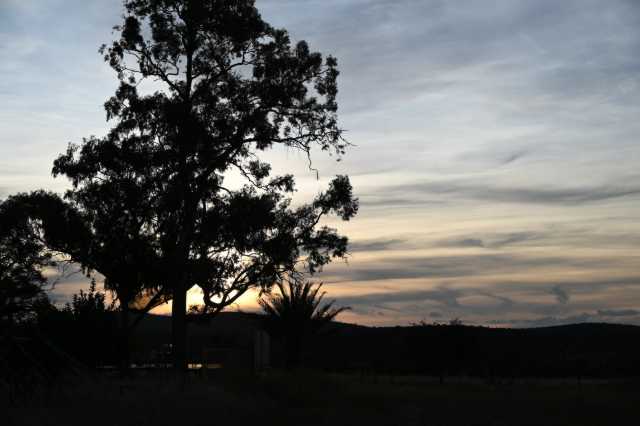 DSC_1946.JPG