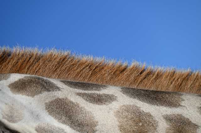 DSC_2065.JPG