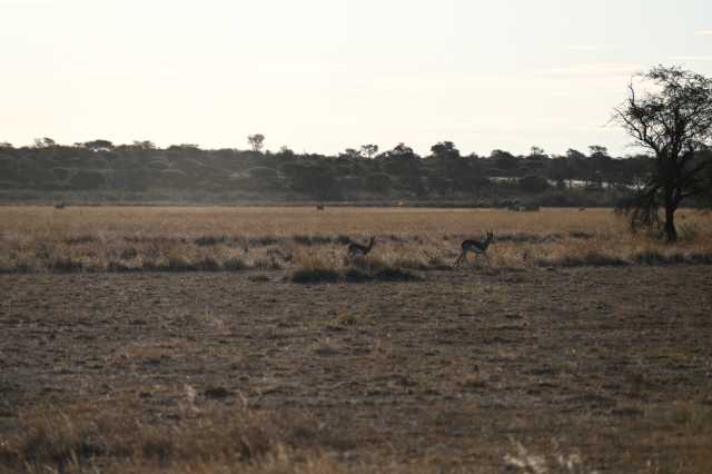 DSC_2181.JPG