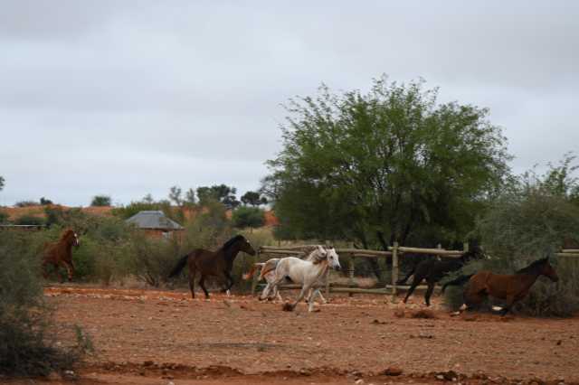 DSC_2241.JPG