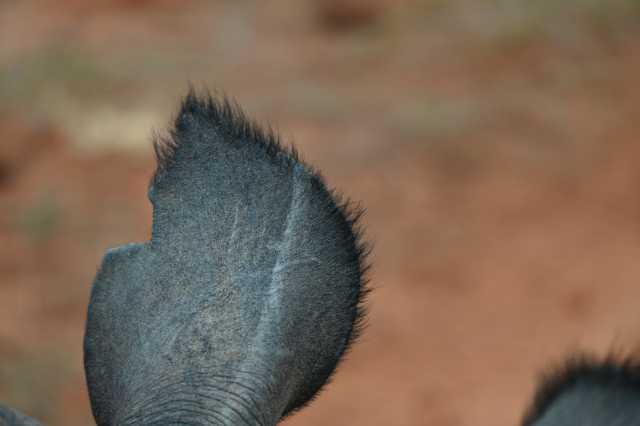 DSC_2334.JPG
