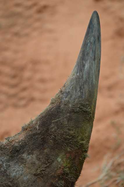 DSC_2336.JPG