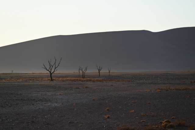 DSC_2803.JPG