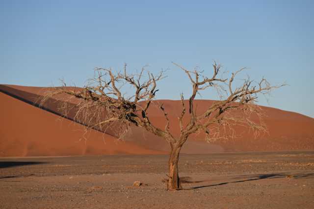 DSC_2808.JPG