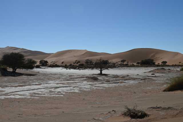 DSC_2889.JPG