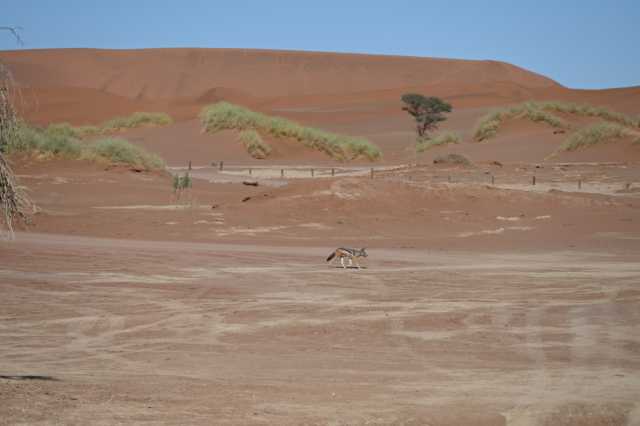 DSC_2911.JPG