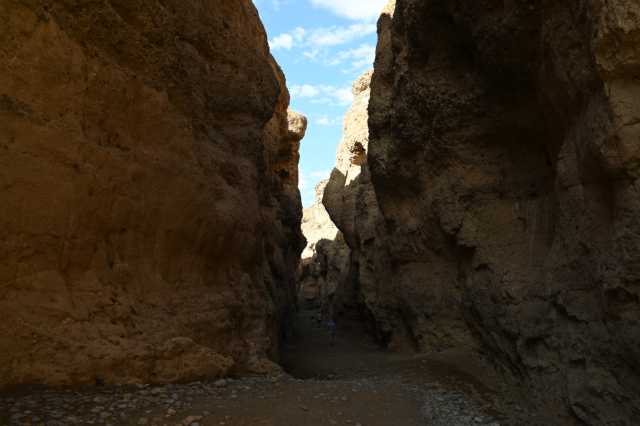 DSC_2974.JPG