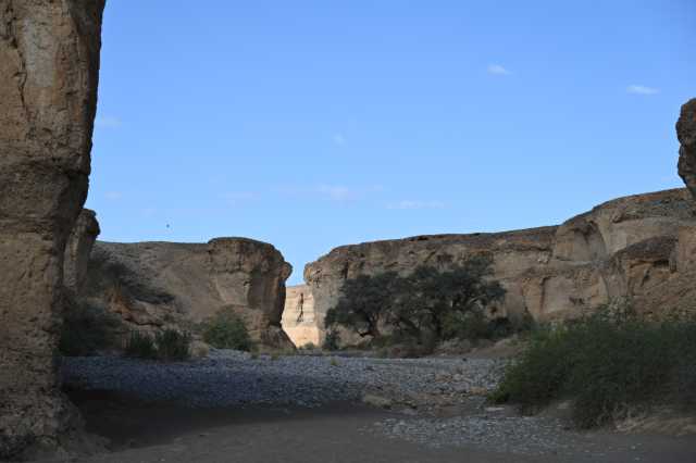 DSC_2997.JPG