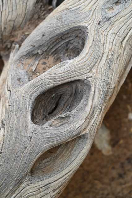 DSC_3019.JPG
