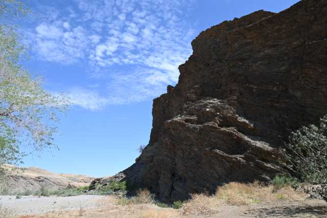 DSC_3253.JPG