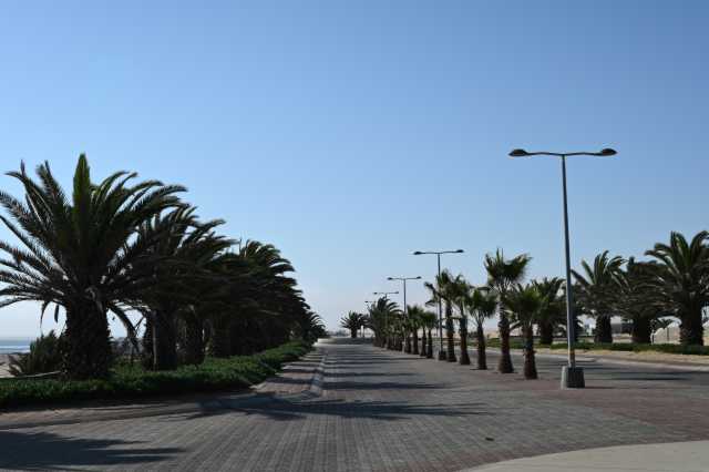DSC_3340.JPG