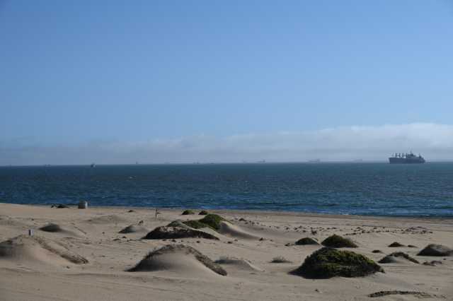 DSC_3341.JPG