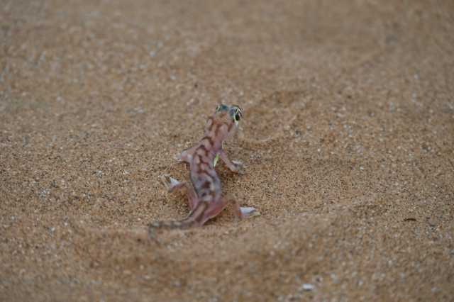 DSC_3436.JPG