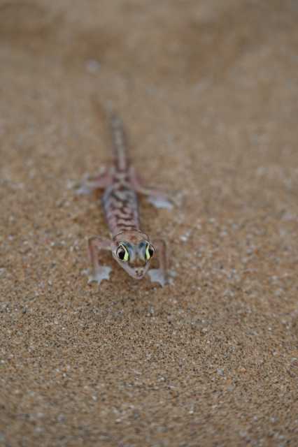 DSC_3442.JPG