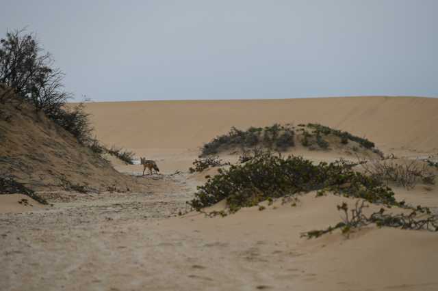 DSC_3503.JPG