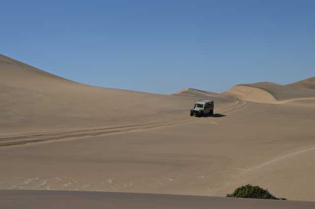 DSC_3690.JPG