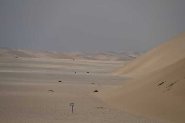 DSC_3710.JPG