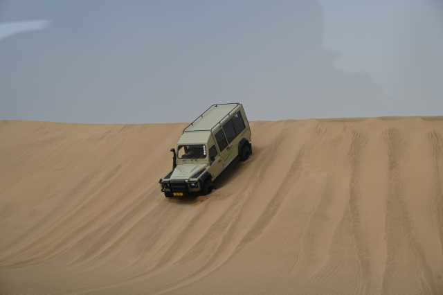 DSC_3733.JPG