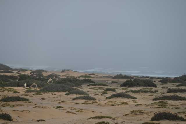 DSC_3742.JPG
