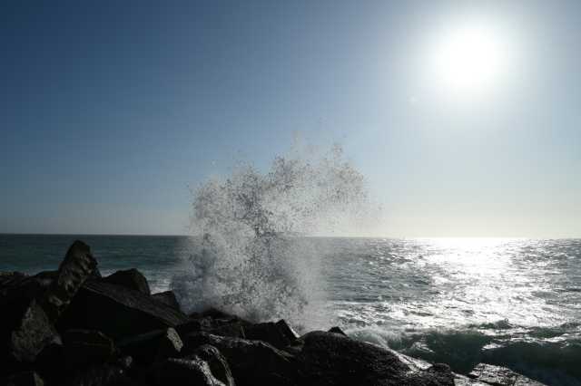 DSC_3826.JPG