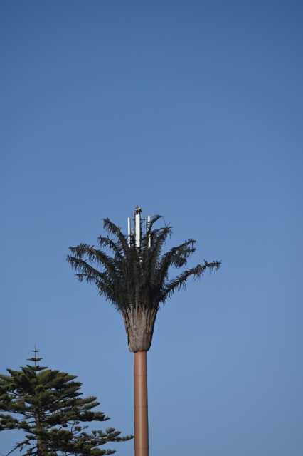 DSC_3840.JPG