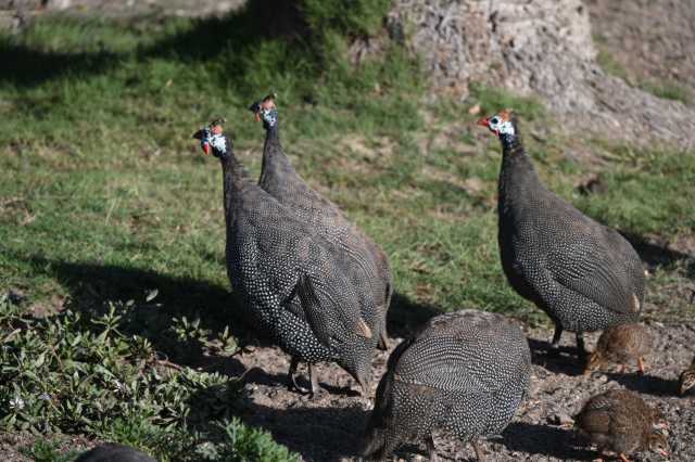 DSC_3851.JPG