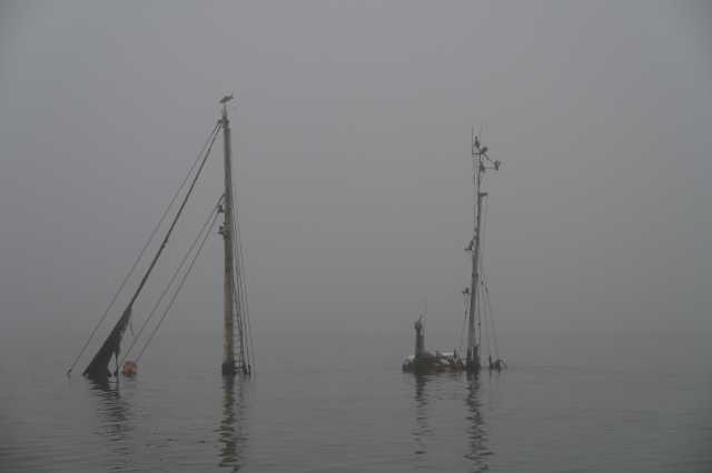 DSC_3932.JPG