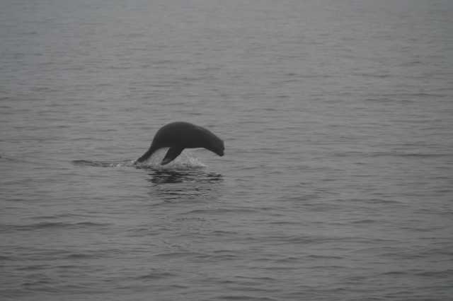 DSC_4025.JPG