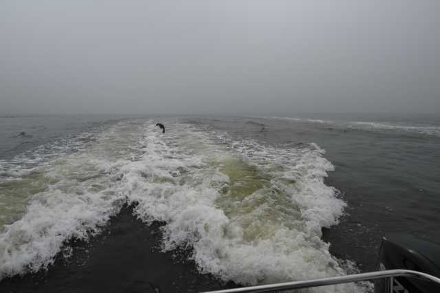 DSC_4124.JPG