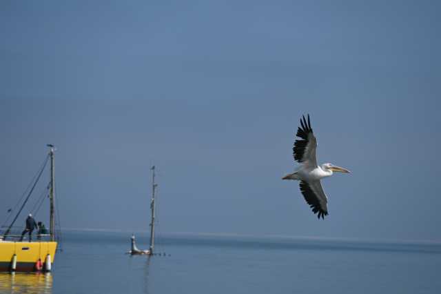 DSC_4261.JPG
