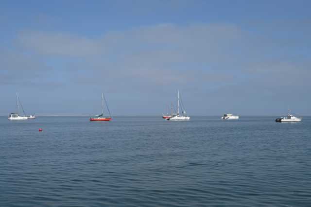 DSC_4263.JPG