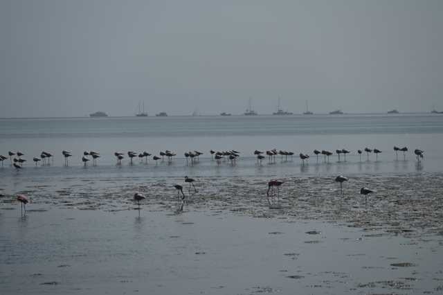 DSC_4333.JPG