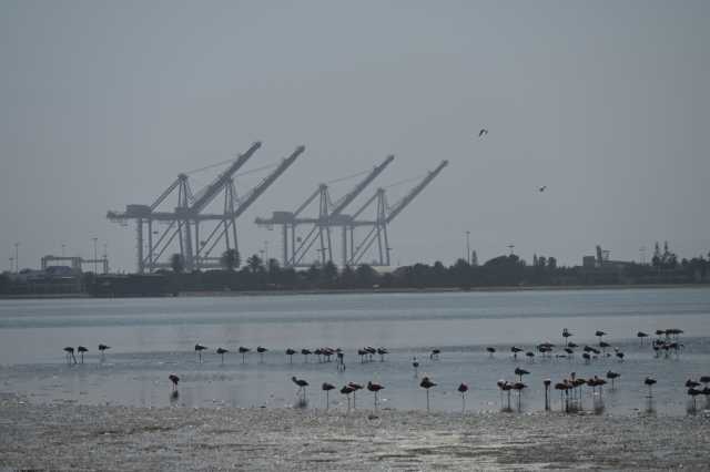 DSC_4336.JPG