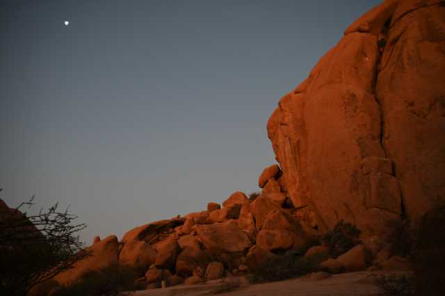 DSC_4509.JPG