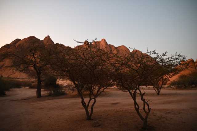 DSC_4510.JPG