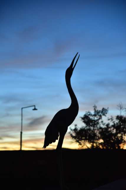 DSC_8790.JPG