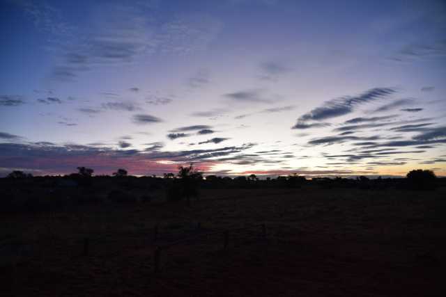 DSC_8880.JPG
