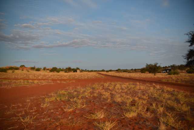 DSC_8882.JPG