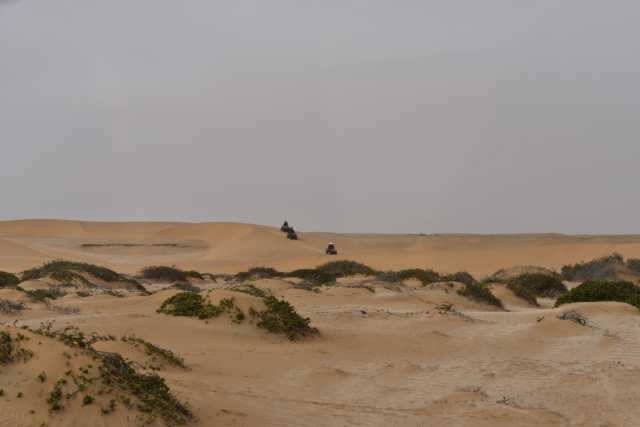 DSC_9300.JPG