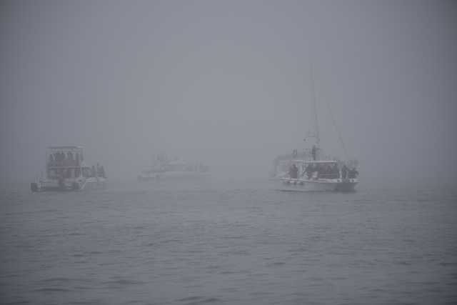 DSC_9614.JPG