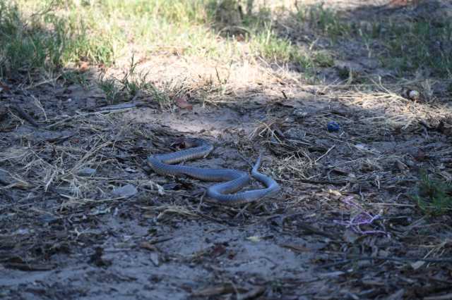 DSC_6218.JPG