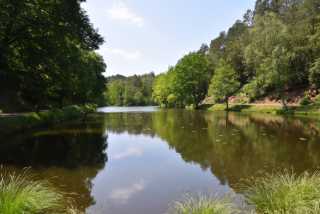 DSC_1000.JPG
