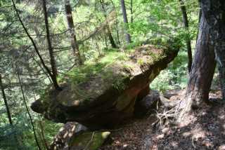 DSC_1004.JPG