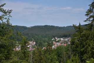 DSC_1010.JPG