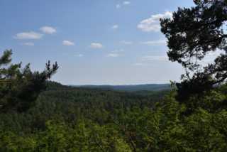 DSC_1035.JPG